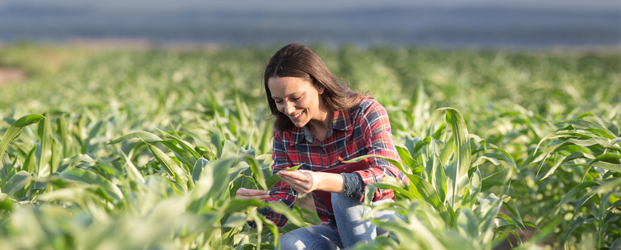 Beginning Farmer Loans